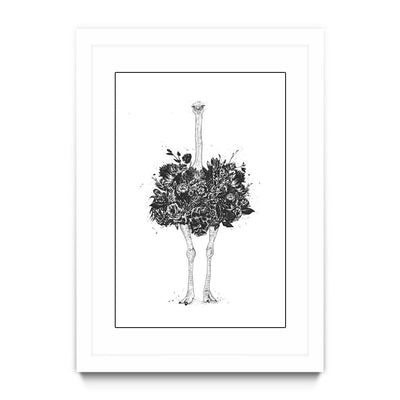 Floral Ostrich