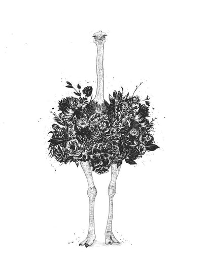 Floral Ostrich