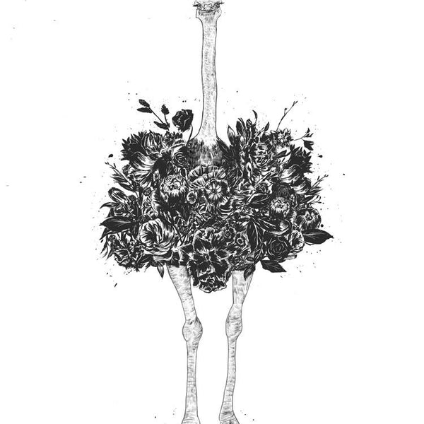 Floral Ostrich