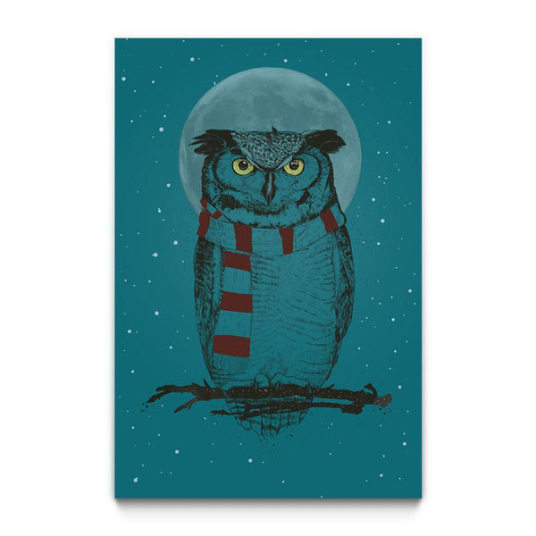 Winter Owl II