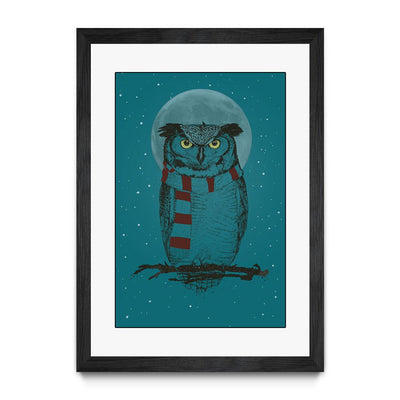 Winter Owl II