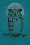 Winter Owl II