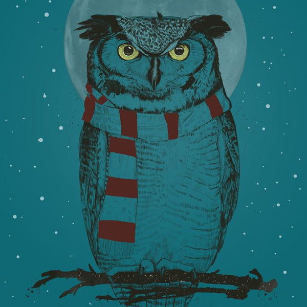 Winter Owl II