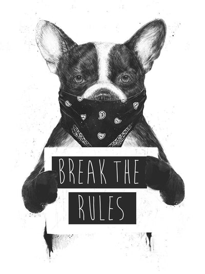 Rebel Dog