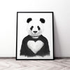 Lovely Panda