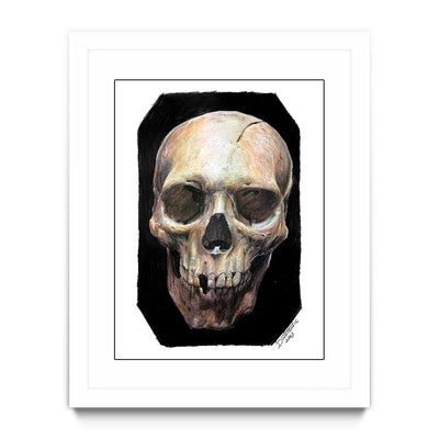 Skull