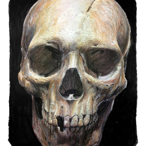 Skull