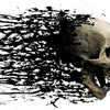 Skull Splatter