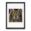 Owl Splatter