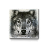 Wolf Splatter