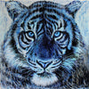 Blue Tiger Splatter