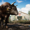 Bull