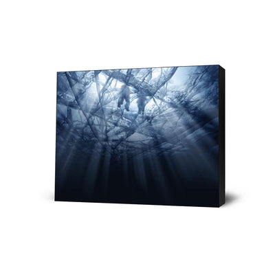 Black Ice V2