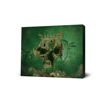Skull Rain V1