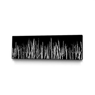 Trees Layers