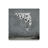 Shark Dollar Graffiti 1