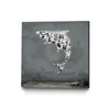 Shark Dollar Graffiti 1