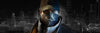 Aiden Banner