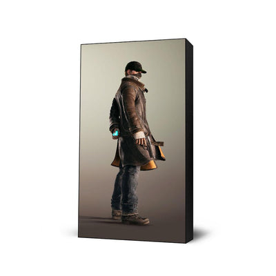 Aiden Pearce 3