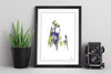 Maleficent