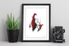 Ariel